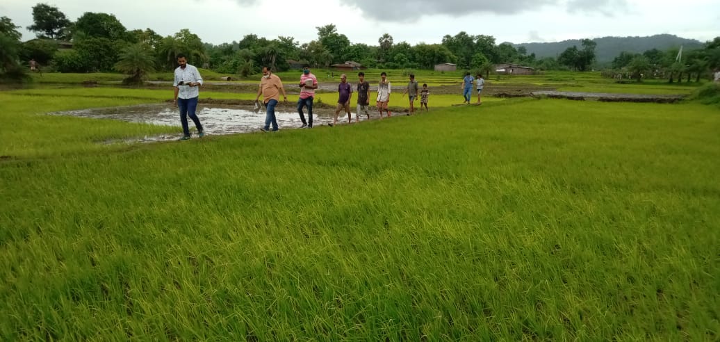 23 जुलै 2020 रोजी महाराष्ट्रातील दहाणू तालुक्यातील अंबेसरी गावात NHSRCL टीमकडून जमिनीच्या तपशीलांची पडताळणी आणि संमती प्रक्रिया
